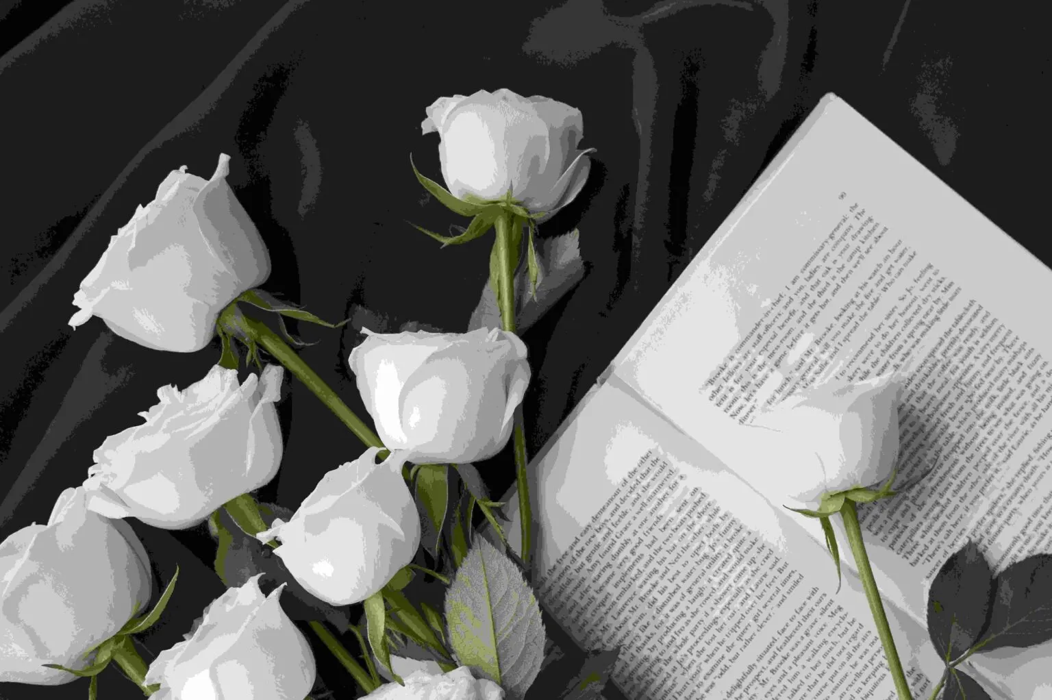 Composition stylisée de roses blanches sur un livre ouvert avec couverture noire